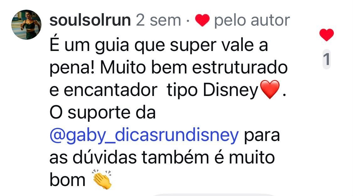Comentário de soulsolrun sobre o guia e o suporte